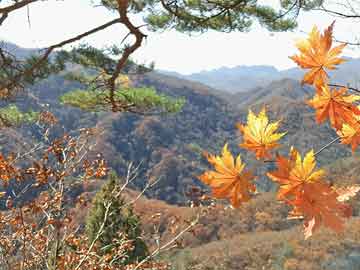 12月27日历史热门短剧盘点