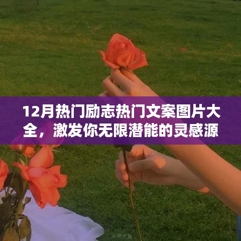 业务领域 第88页