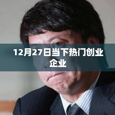 当下热门创业企业动态解析，聚焦创业市场新机遇