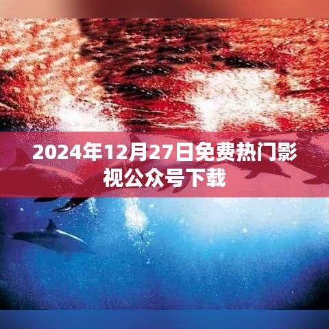 2024年影视公众号免费下载指南，最新热门影视资讯一网打尽