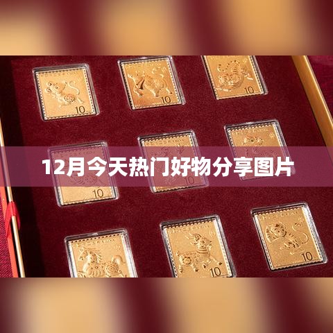 12月热门好物分享图片大放送