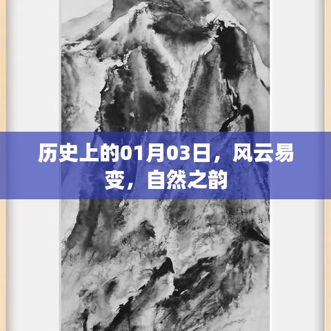业务领域 第79页