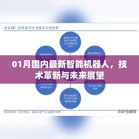 最新智能机器人技术革新及未来展望（国内篇）