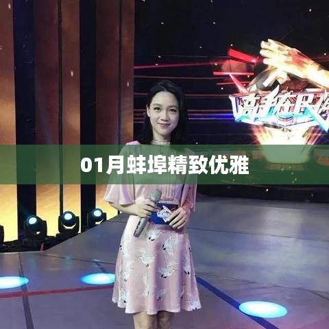 蚌埠精致优雅风采展现