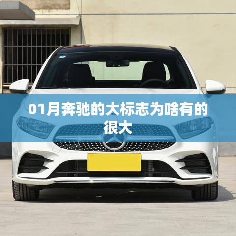 成功案例 第78页
