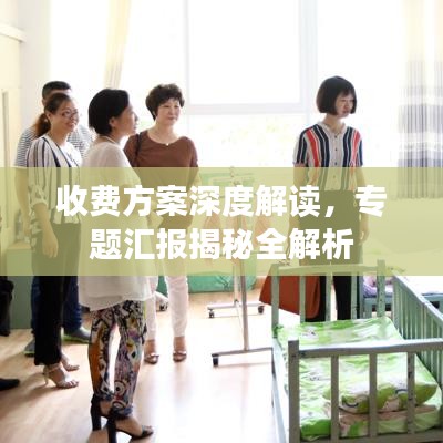 收费方案深度解读，专题汇报揭秘全解析