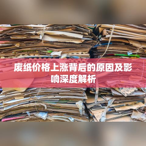 废纸价格上涨背后的原因及影响深度解析