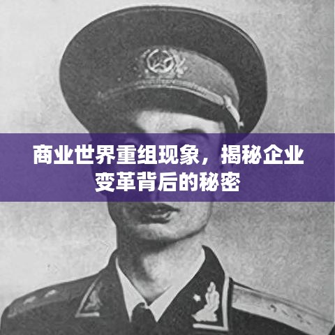 商业世界重组现象，揭秘企业变革背后的秘密