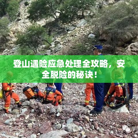成功案例 第67页