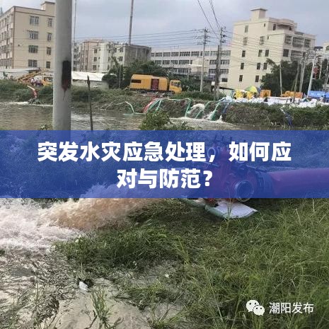 突发水灾应急处理，如何应对与防范？