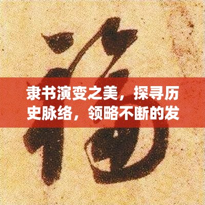 隶书演变之美，探寻历史脉络，领略不断的发展之美