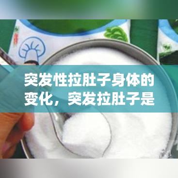 第555页