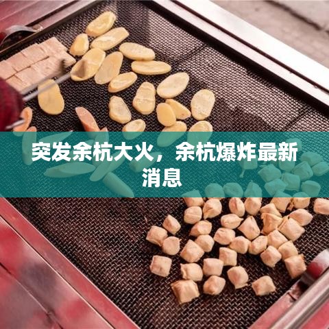 突发余杭大火，余杭爆炸最新消息 