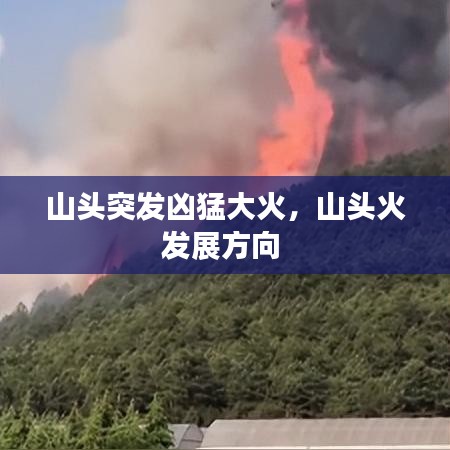飞扬跋扈 第2页