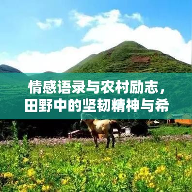 情感语录与农村励志，田野中的坚韧精神与希望之光