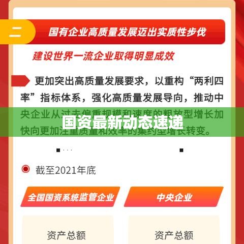 国资最新动态速递
