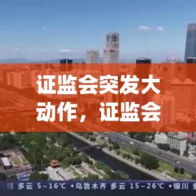 证监会突发大动作，证监会重磅发声 
