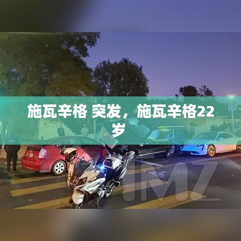 施瓦辛格 突发，施瓦辛格22岁 