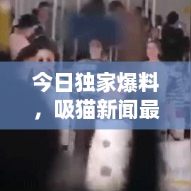 今日独家爆料，吸猫新闻最新动态速递