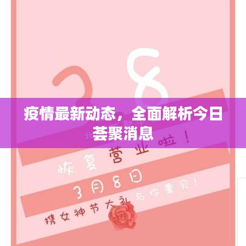 疫情最新动态，全面解析今日荟聚消息
