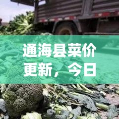 通海县菜价更新，今日市场最新消息速递