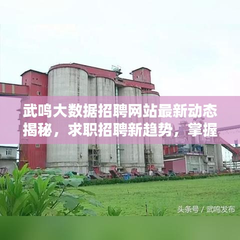 武鸣大数据招聘网站最新动态揭秘，求职招聘新趋势，掌握大数据就业机会！