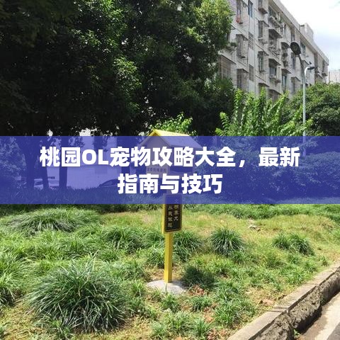 井底之蛙 第2页