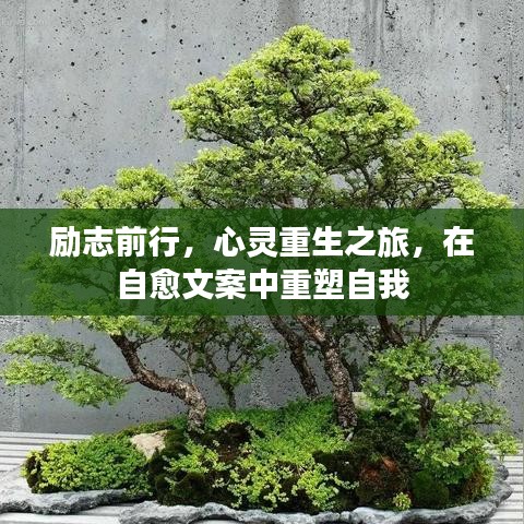 励志前行，心灵重生之旅，在自愈文案中重塑自我