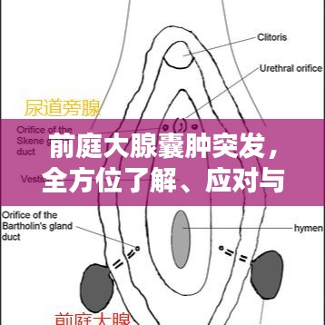 忠心耿耿 第2页