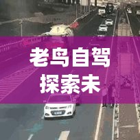 还淳反素 第2页