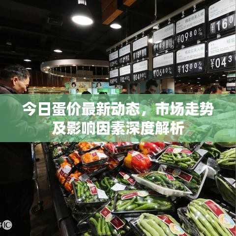 今日蛋价最新动态，市场走势及影响因素深度解析