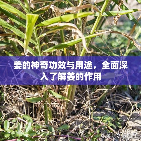 就此而别 第2页