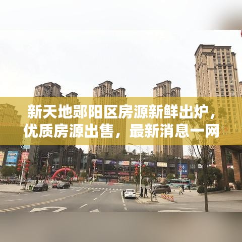 新天地郧阳区房源新鲜出炉，优质房源出售，最新消息一网打尽！