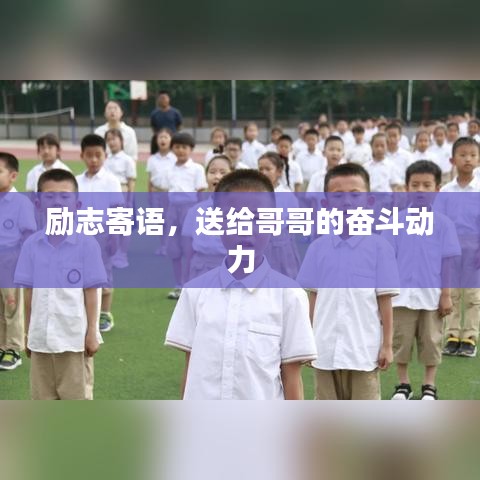 金石为开 第2页