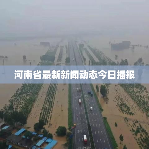 河南省最新新闻动态今日播报