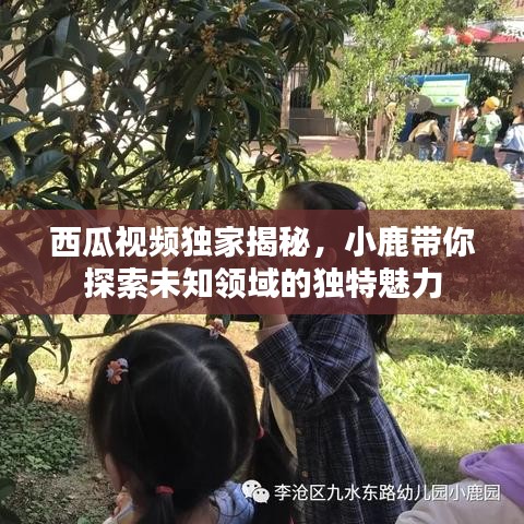 西瓜视频独家揭秘，小鹿带你探索未知领域的独特魅力