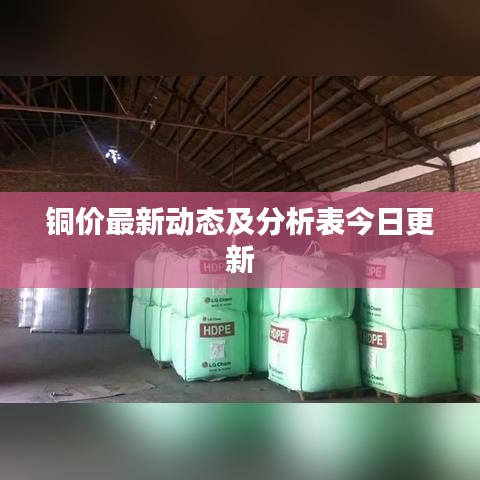 虚张声势 第2页
