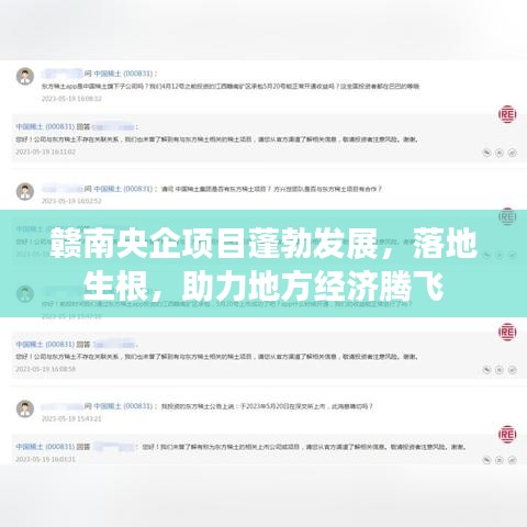 赣南央企项目蓬勃发展，落地生根，助力地方经济腾飞