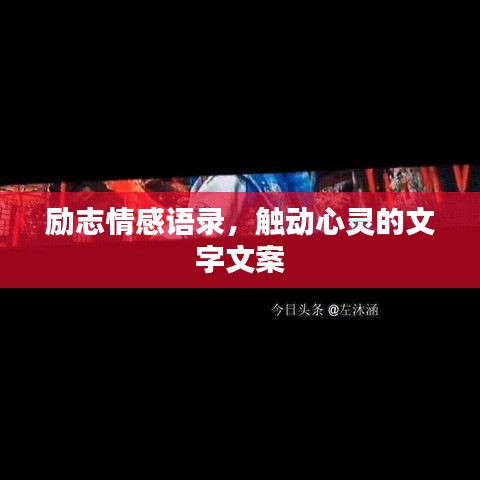励志情感语录，触动心灵的文字文案