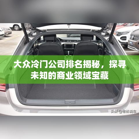 大众冷门公司排名揭秘，探寻未知的商业领域宝藏