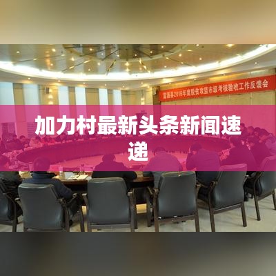 加力村最新头条新闻速递