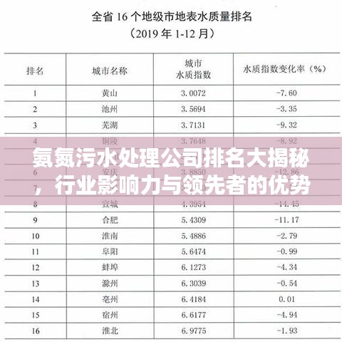 氨氮污水处理公司排名大揭秘，行业影响力与领先者的优势