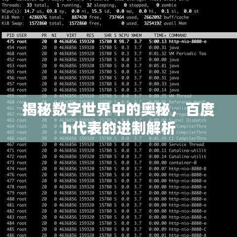 揭秘数字世界中的奥秘，百度h代表的进制解析