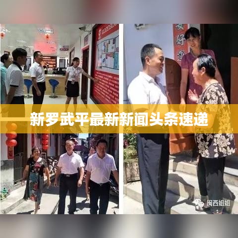 新罗武平最新新闻头条速递