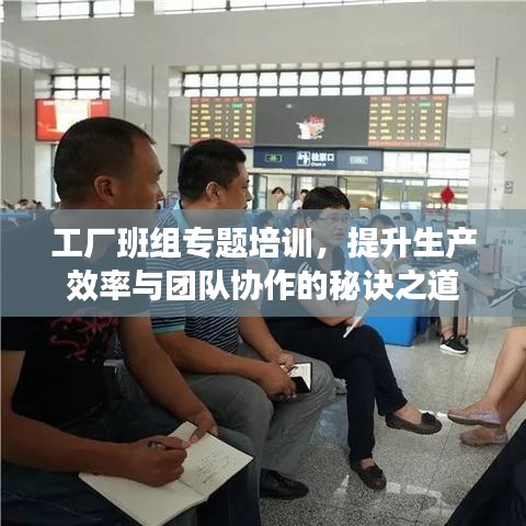 工厂班组专题培训，提升生产效率与团队协作的秘诀之道