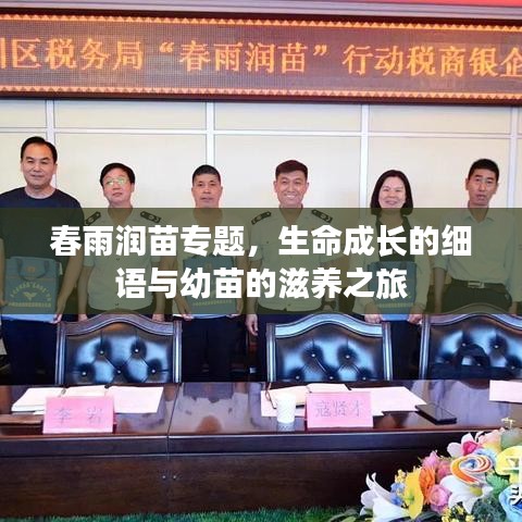 春雨润苗专题，生命成长的细语与幼苗的滋养之旅
