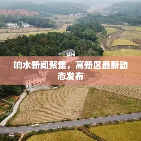 响水新闻聚焦，高新区最新动态发布