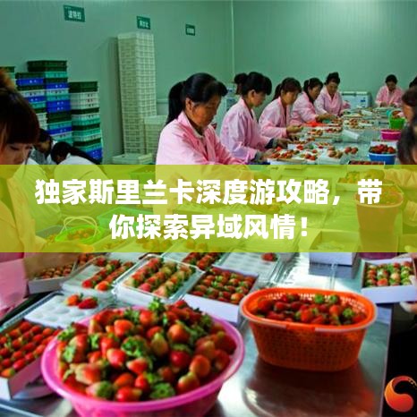 独家斯里兰卡深度游攻略，带你探索异域风情！