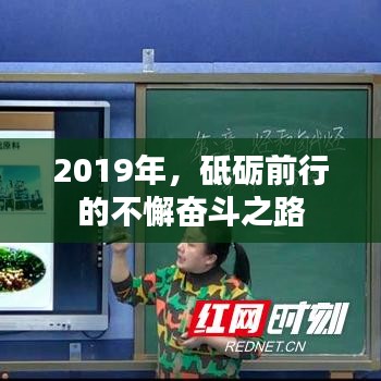2019年，砥砺前行的不懈奋斗之路