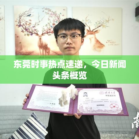 东莞时事热点速递，今日新闻头条概览
